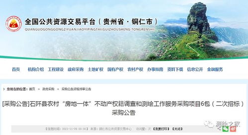 關(guān)于1980萬元農(nóng)村房地一體不動(dòng)產(chǎn)權(quán)籍調(diào)查和測繪工作服務(wù)采購項(xiàng)目（6包）二次招標(biāo)采購公告的解讀