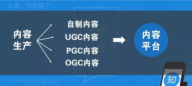 數(shù)字內(nèi)容制作服務(wù)在內(nèi)容運(yùn)營(yíng)策略中的核心作用與實(shí)踐路徑分析